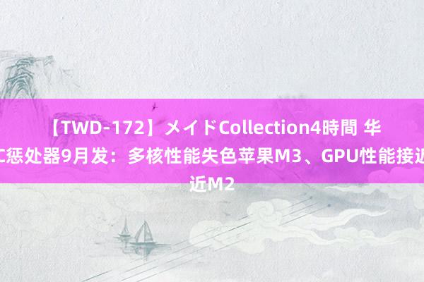 【TWD-172】メイドCollection4時間 华为PC惩处器9月发：多核性能失色苹果M3、GPU性能接近M2