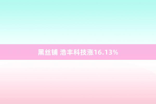 黑丝铺 浩丰科技涨16.13%