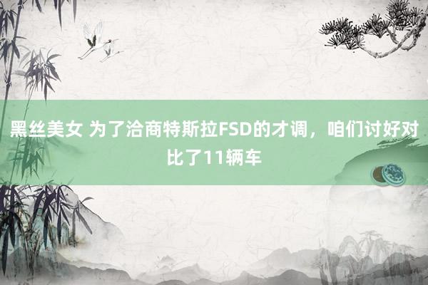黑丝美女 为了洽商特斯拉FSD的才调，咱们讨好对比了11辆车