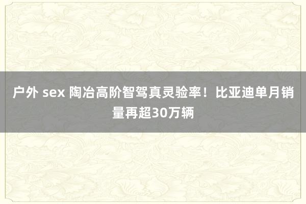 户外 sex 陶冶高阶智驾真灵验率！比亚迪单月销量再超30万辆