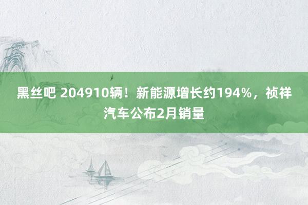 黑丝吧 204910辆！新能源增长约194%，祯祥汽车公布2月销量