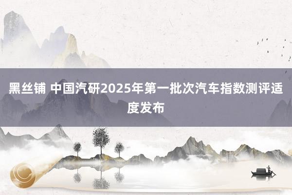 黑丝铺 中国汽研2025年第一批次汽车指数测评适度发布
