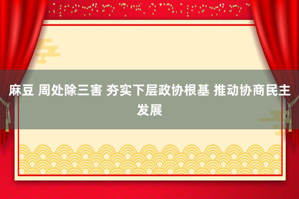 麻豆 周处除三害 夯实下层政协根基 推动协商民主发展