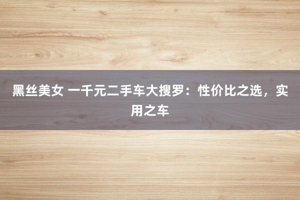 黑丝美女 一千元二手车大搜罗：性价比之选，实用之车