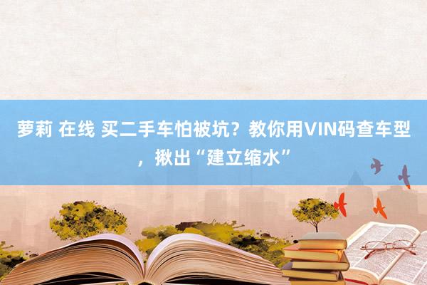 萝莉 在线 买二手车怕被坑？教你用VIN码查车型，揪出“建立缩水”