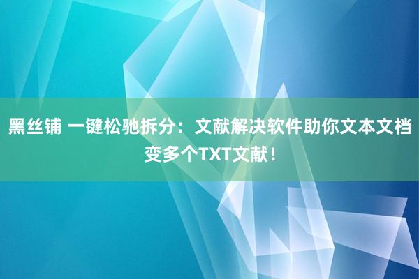 黑丝铺 一键松驰拆分：文献解决软件助你文本文档变多个TXT文献！