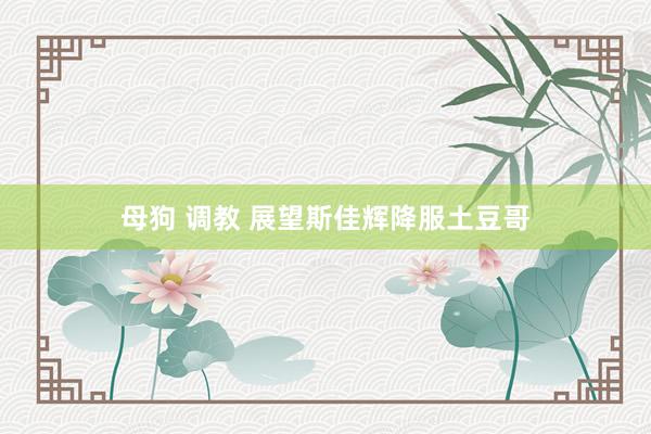 母狗 调教 展望斯佳辉降服土豆哥
